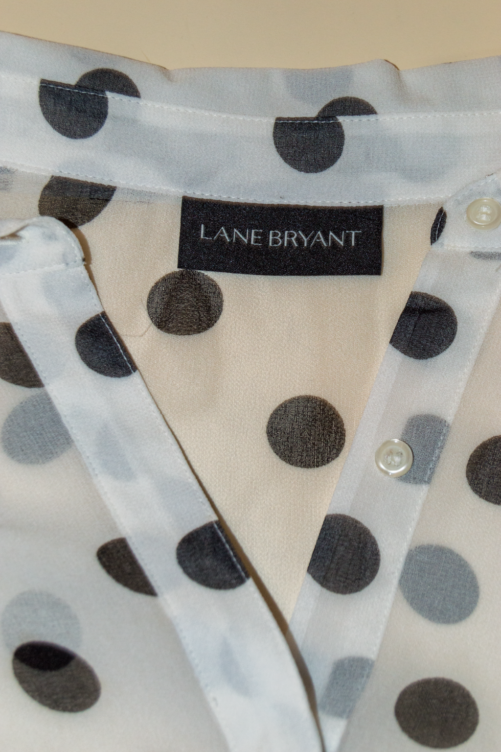 Find #2 Polka Dot Blouse